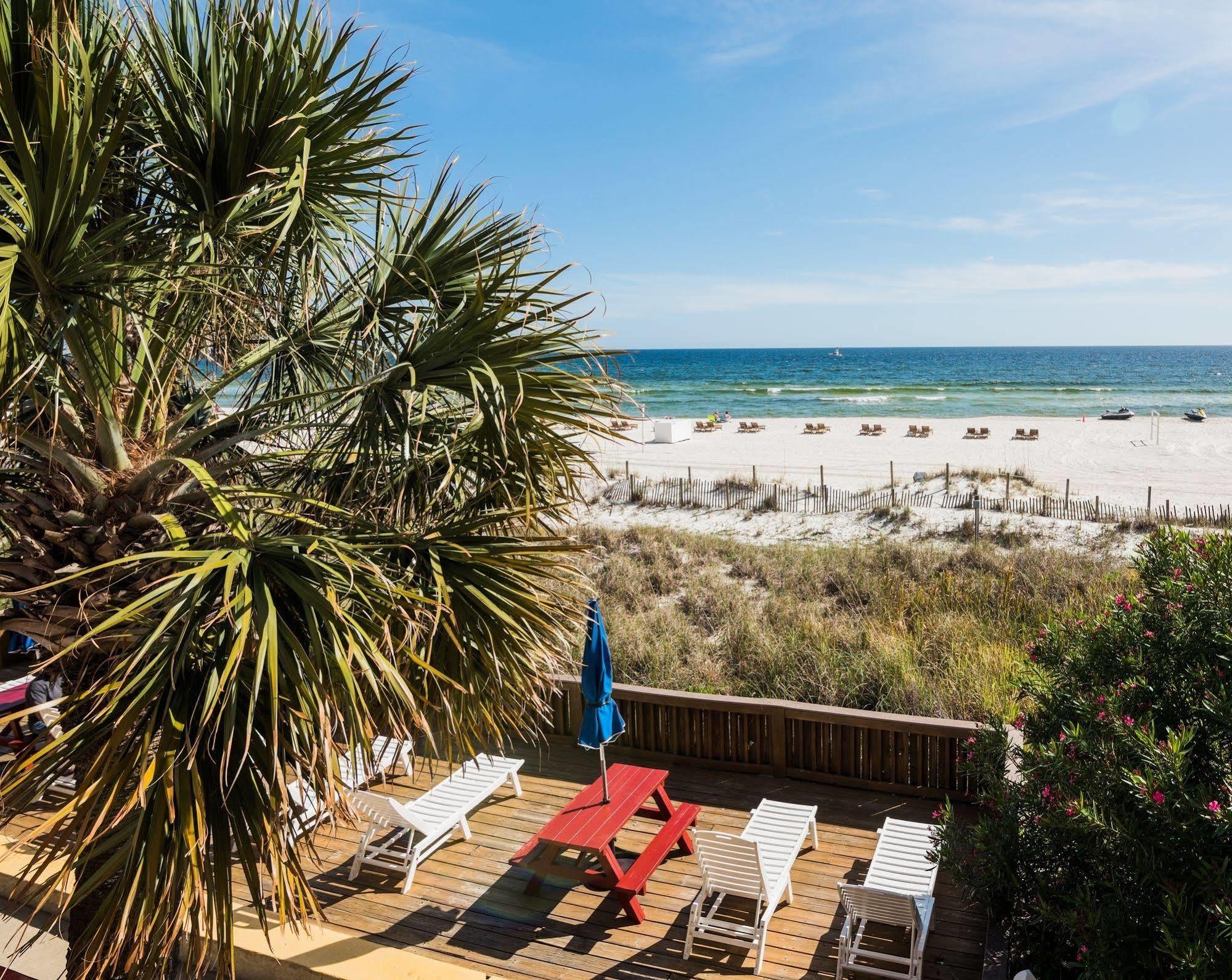 The Driftwood Lodge Панама-Сити Экстерьер фото