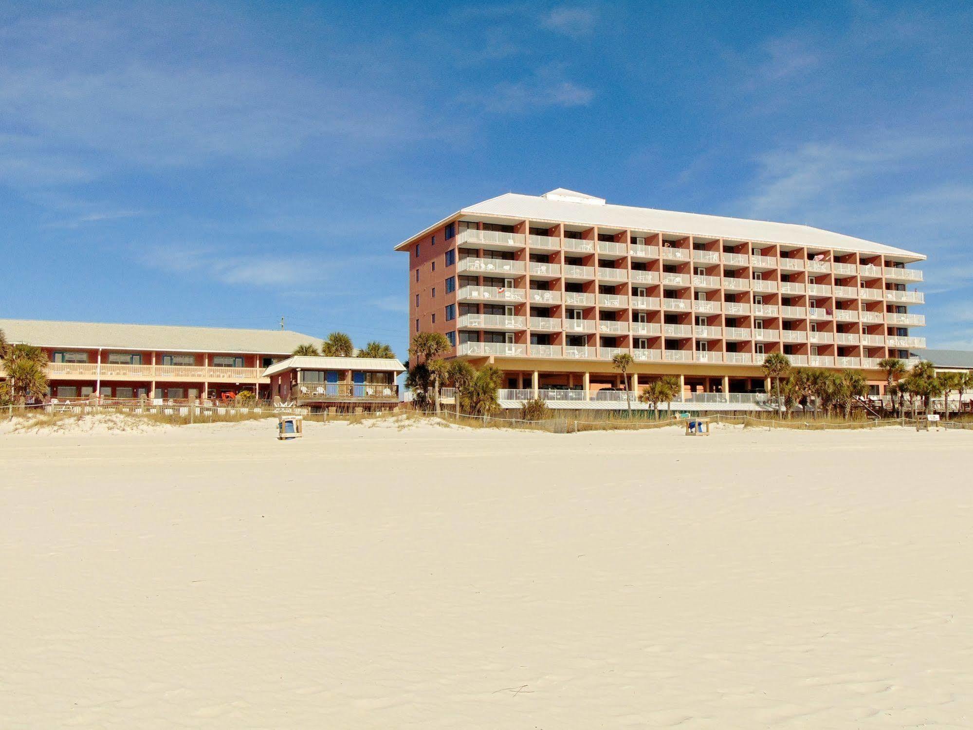The Driftwood Lodge Панама-Сити Экстерьер фото